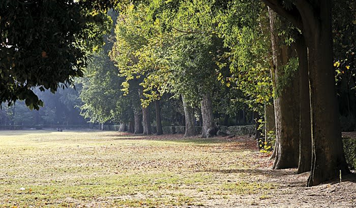 <b>Firenze </b><br><br> L’ex stazione ferroviaria <b>Leopolda</b> e l’ex <b>Manifattura Tabacchi</b> sono i pezzi forti del <b>Parco delle Cascine</b>, area fiorentina che va rivalutata. E nella culla del Rinascimento italiano, i saperi sono centrali: il completamento del nuovo teatro dell’Opera è nel progetto che però non trascura nemmeno gli <b>interventi residenziali</b> e le azioni di mobilità, come la nuova linea tramviaria Leopolda-Piagge. Mirabolante la cifra per questo progetto: 467 milioni; la Cabina di regia ce ne mette 14,7. <br><a href="http://www.comune.fi.it/opencms/opencms/comune_firenze/ultime_notizie/e0189.html" rel="nofollow noopener" target="_blank" data-ylk="slk:Credits: Comune di Firenze;elm:context_link;itc:0;sec:content-canvas" class="link ">Credits: Comune di Firenze</a>