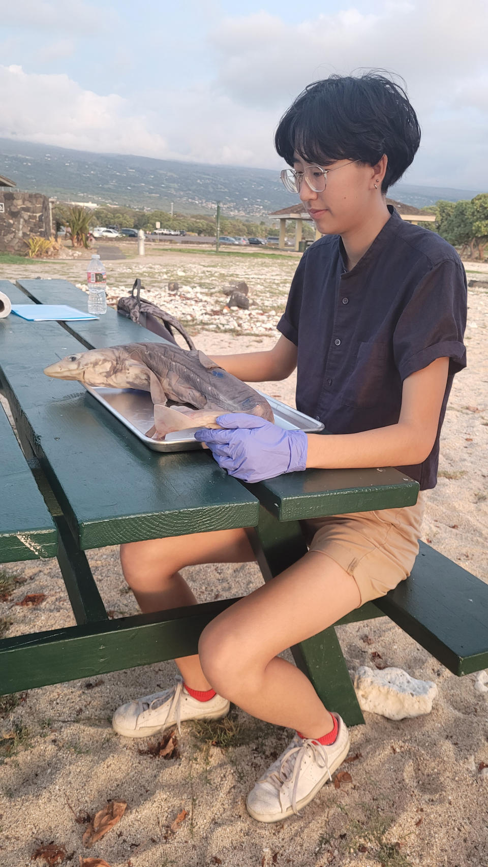 Scientist A-bel Gong examining shark specimen. (Photo: National Geographic for Disney/Daniel Kwiatkowski)