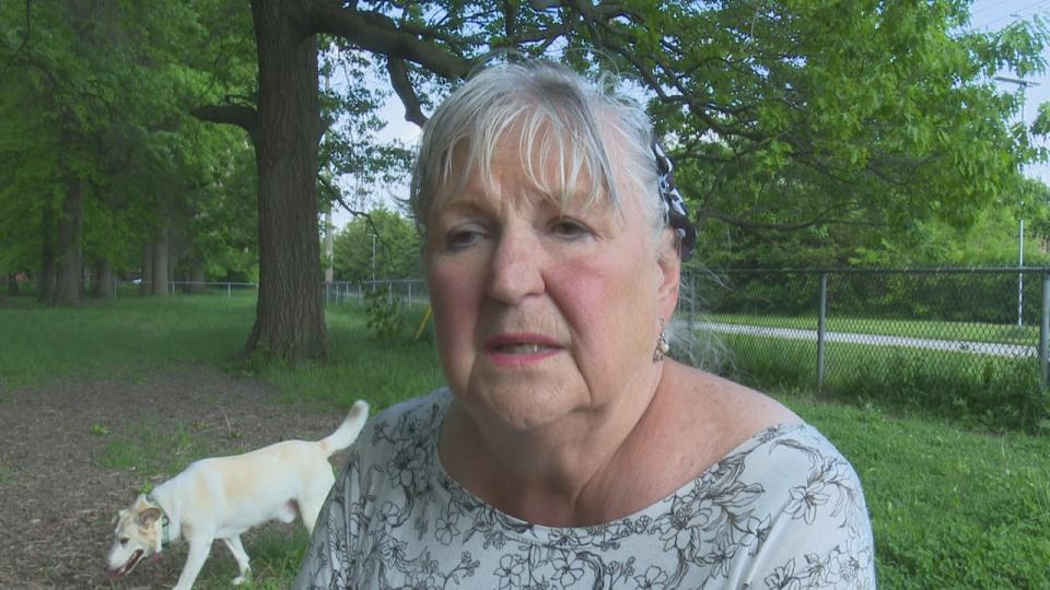 Linda Kella, a Windsor dog owner, at Optimist Memorial Park.