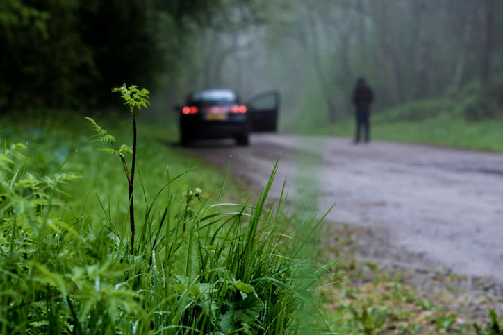 Car with open door on a foggy road, person walking away, focus on roadside vegetation in the foreground