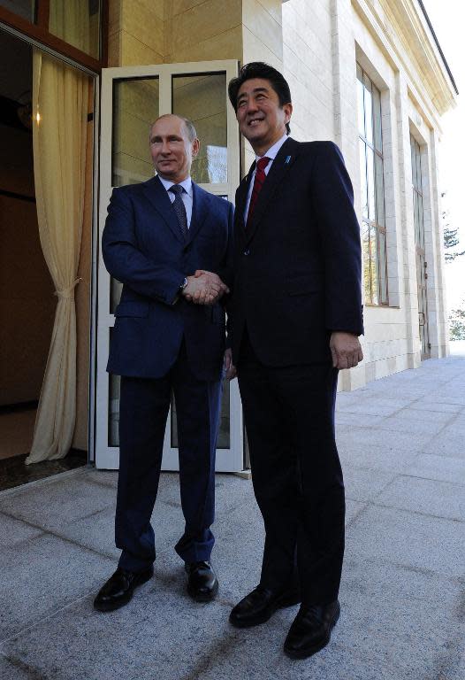 Russian President Vladimir Putin meets with Japanese Prime Minister Shinzo Abe at the Bocharov Ruchei residence in Sochi on February 8, 2014