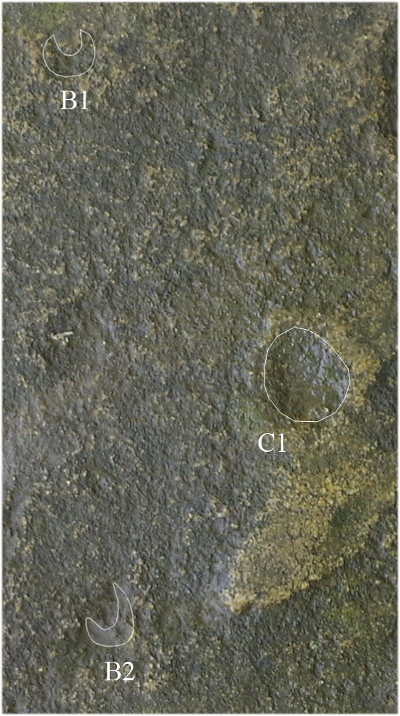 Some of the wells in the Rostov slab don't correspond to solar movements. Instead, they track the motion of the moon. Crescent-shaped B1 and B2 represent the positions of the moonrise of the so-called "high moon," a point in the lunar cycle whe