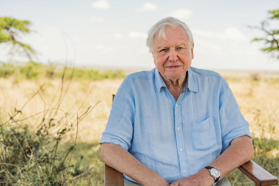 Attenborough posted a video to Instagram (Conor McDonnell/WWF-UK/PA Media)