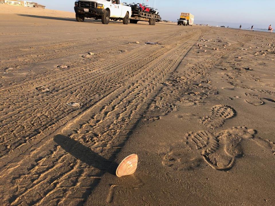 Tire tracks run over surfaced clams at Pismo State Beach north of the Oceano Dunes State Vehicular Recreation Area. Bonita Ernst