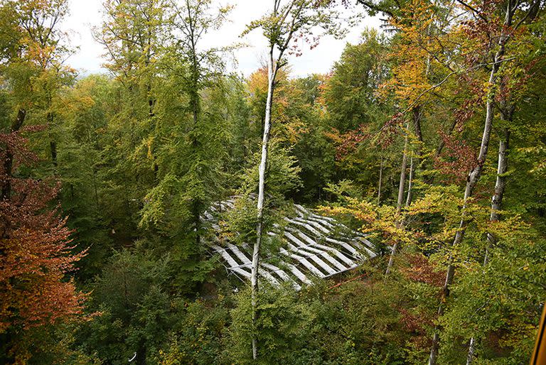 Para simular los efectos de la sequía, los investigadores de un bosque en Hölstein levantaron toldos para interceptar la lluvia