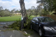 A man clears debris from a fallen tree branch near a car at Pebble Beach Golf Links before the scheduled final round of the AT&T Pebble Beach National Pro-Am golf tournament in Pebble Beach, Calif., Sunday, Feb. 4, 2024. The final round of the AT&T Pebble Beach Pro-Am has been postponed until Monday. (AP Photo/Ryan Sun)