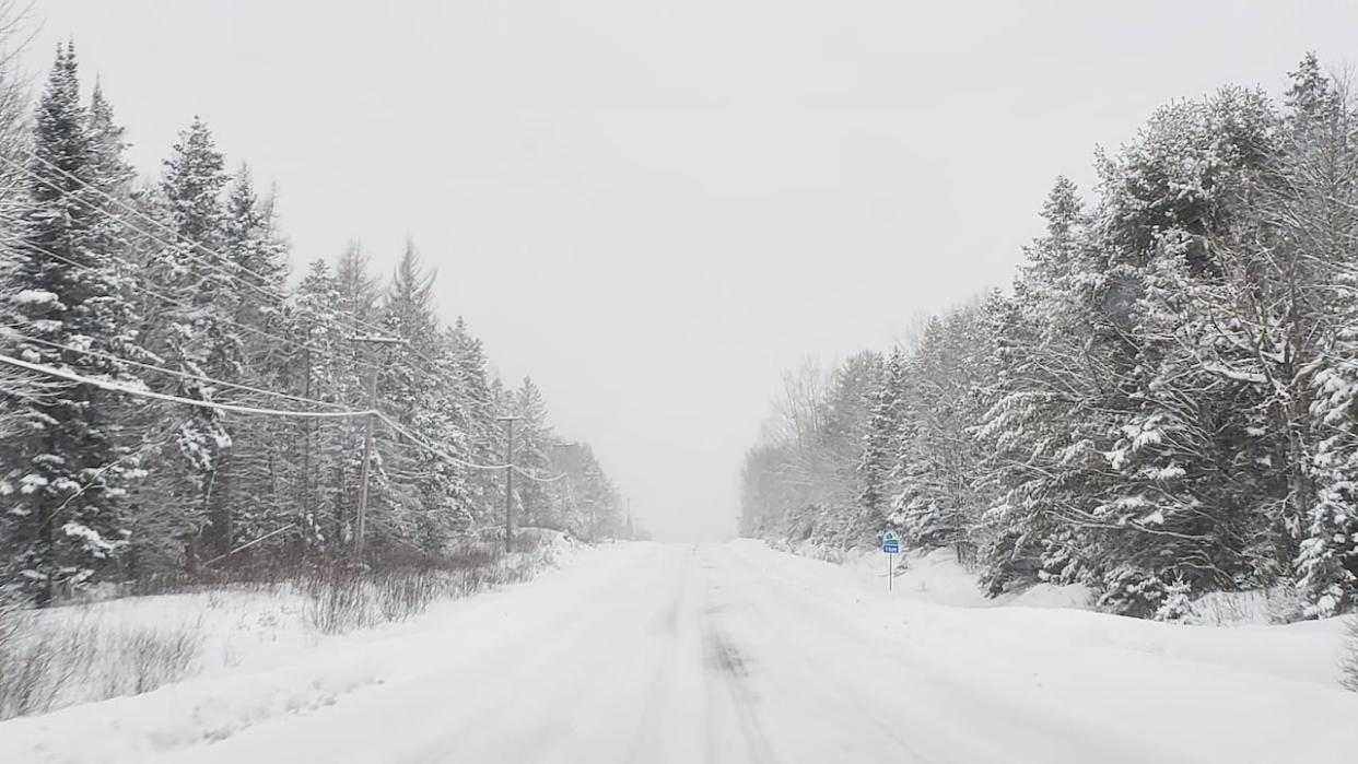 Environment Canada is warning of a messy storm coming for New Brunswick on Wednesday, with heavy snow, wind, rain and ice. (Shane Fowler/CBC - image credit)