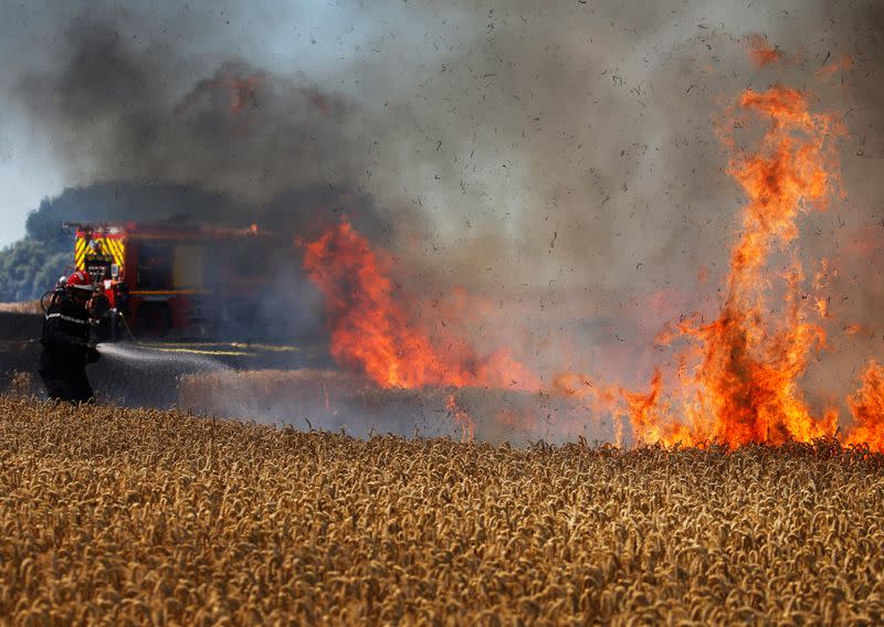 French firefighters extinguish a burning wheat field in Ramillies