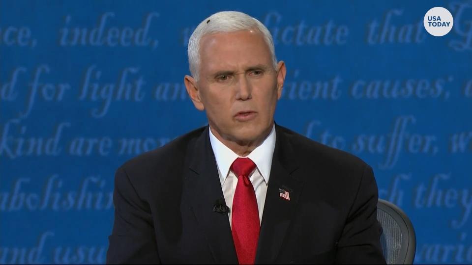 A fly that landed on Vice President Mike Pence's head during the vice presidential debate has become an internet star.