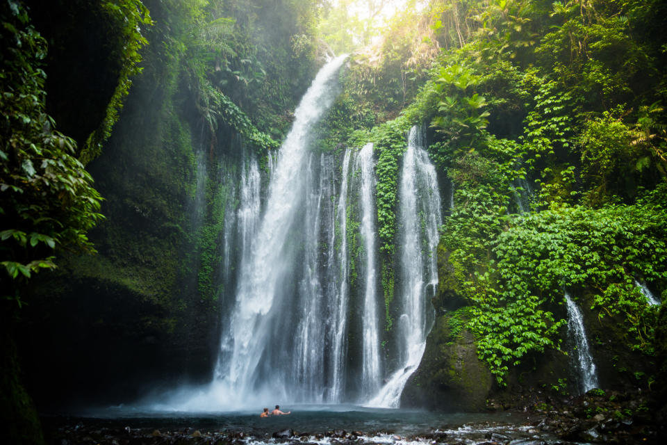 A waterfall surrounded by greenery