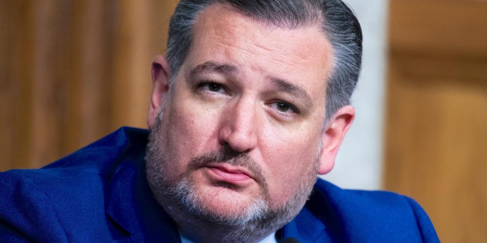 ted cruz woke ceos 