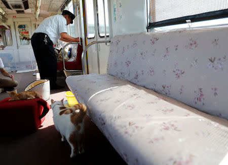 A rail staff member arranges seat covers in a train cat cafe, held on a local train to bring awareness to the culling of stray cats, in Ogaki, Gifu Prefecture, Japan September 10, 2017. REUTERS/Kim Kyung-Hoon