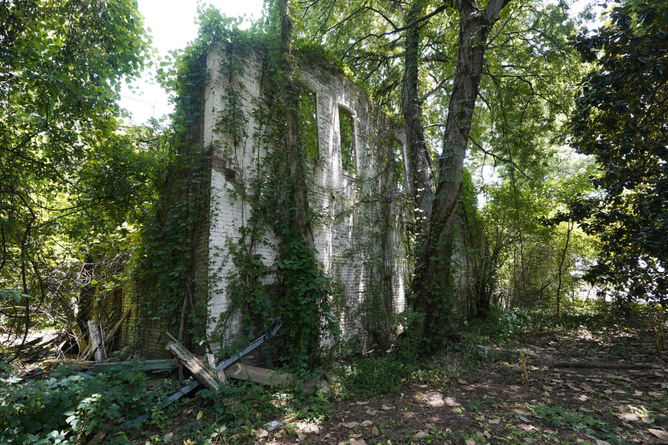 All that remains of what was Bryant's Grocery and Meat Market in Money, Miss., July 14, 2021, are the vine covered brick walls. Emmett Till, a 14-year-old African American teen, was beaten and killed in 1955, after he was accused of whistling at a white woman, at the family's store. For more than a century, one of Mississippi’s largest and most elaborate Confederate monuments has looked out over the lawn at the courthouse in the center of Greenwood. It's a Black-majority city with a rich civil rights history. Officials voted last year to remove the statue, but little progress has been made to that end. (AP Photo/Rogelio V. Solis)