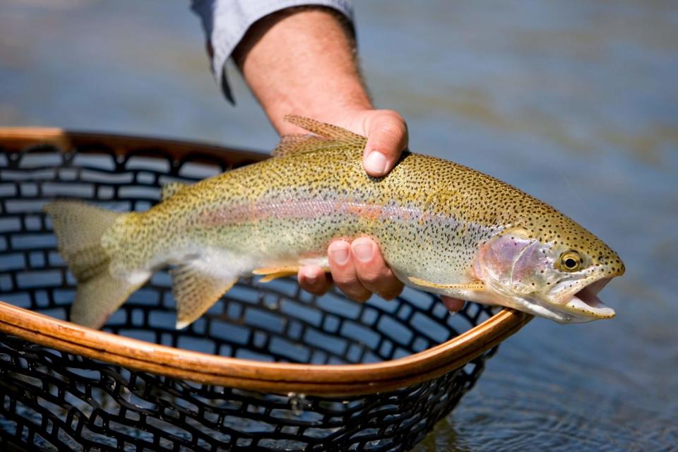 Elkhart County Parks presents a pancake breakfast and Trout Day activities April 29, 2023, at Bonneyville Mill County Park in Bristol as part of the first day of trout fishing season.