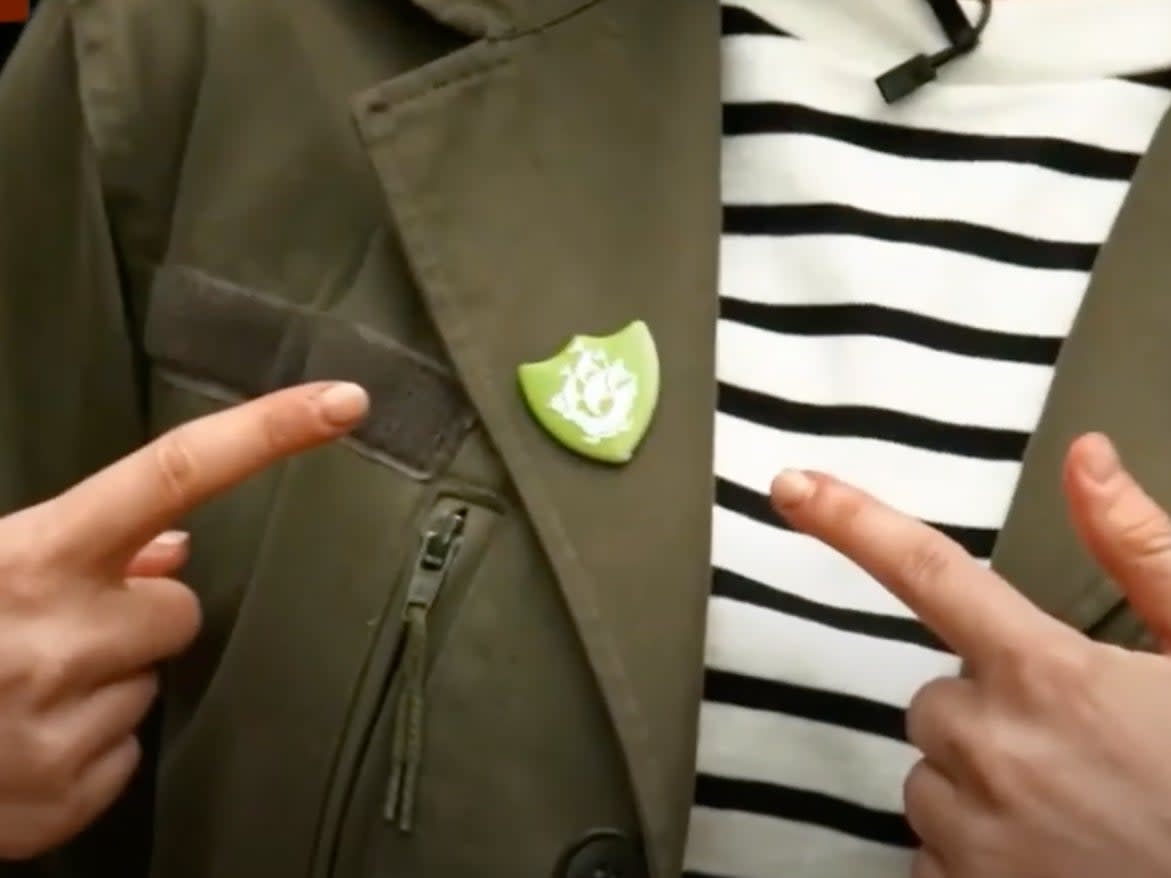 The Blue Peter green badge was launched in 1988 and is awarded to children who have made a positive impact on the environment (BBC/YouTube screengrab)