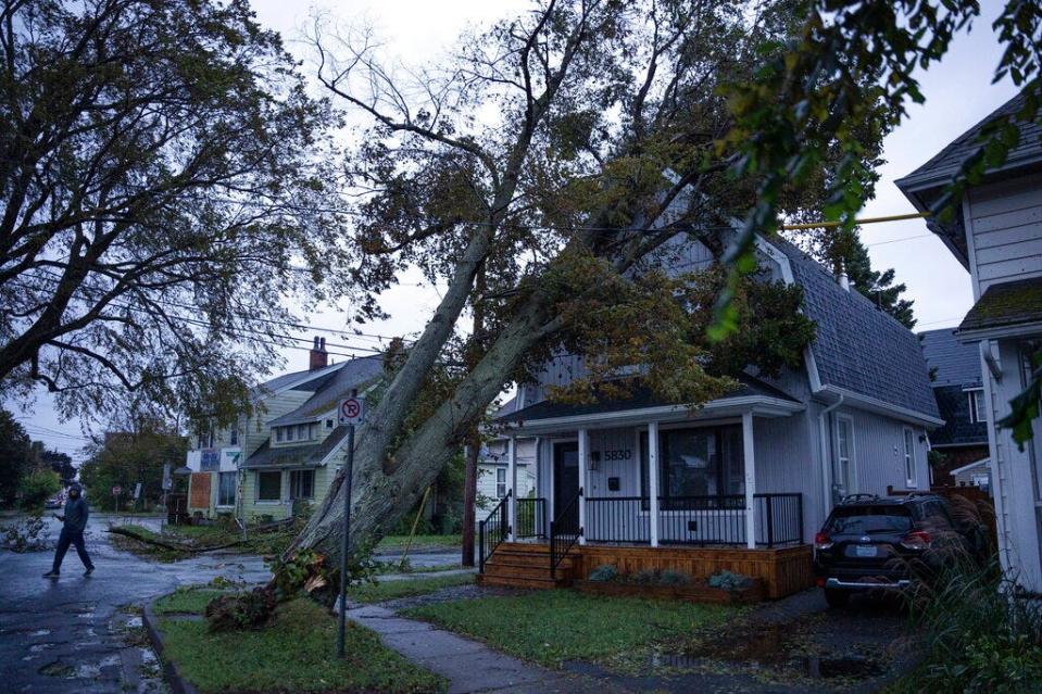 Ian Livingstone surveys the damage to his house from a fallen tree early in the morning in Halifax on Saturday, Sept. 24, 2022 as post tropical storm Fiona continues to batter the area.  Strong rains and winds lashed the Atlantic Canada region as Fiona closed in early Saturday as a big, powerful post-tropical cyclone, and Canadian forecasters warned it could be one of the most severe storms in the country's history.