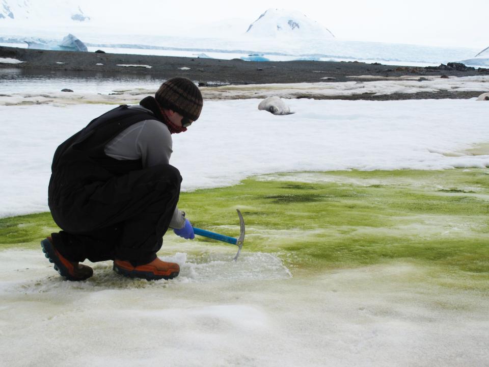 man in winter clothes sinks pickaxe into green patch of ice