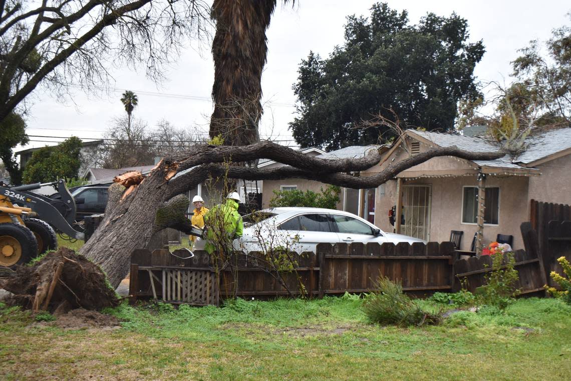 A city crew removes a tree that toppled onto cars and a home on Miller Avenue east of Colfax Avenue in east Modesto on Monday morning, Jan. 9, 2023.