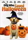 <p>Zeus and his owners just moved into a new house right in time for Halloween. But when Zeus and one of the Bannister family members decided to investigate a creepy neighbor, they discover a haunted house and bumbling burglars.<br></p><p><a class="link " href="https://www.amazon.com/Dog-Who-Saved-Halloween/dp/B09FY52B4G?tag=syn-yahoo-20&ascsubtag=%5Bartid%7C10070.g.3104%5Bsrc%7Cyahoo-us" rel="nofollow noopener" target="_blank" data-ylk="slk:Watch on Amazon;elm:context_link;itc:0;sec:content-canvas">Watch on Amazon</a></p>