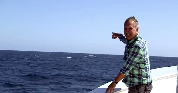 BBC presenter upstaged by blue whale (video)