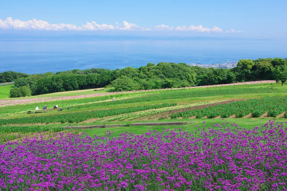 日本旅遊｜大阪近郊淡路島暑假好去處 蠟筆小新、SPY×FAMILY、火影忍者齊集「二次元之森」