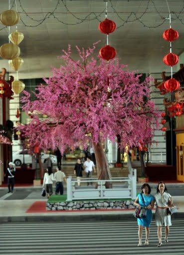 Chinese Lunar New Year decorations are displayed outside a mall in Jakarta. The festive season is not only embraced by Chinese-Indonesians but also by retailers, who look forward to more business