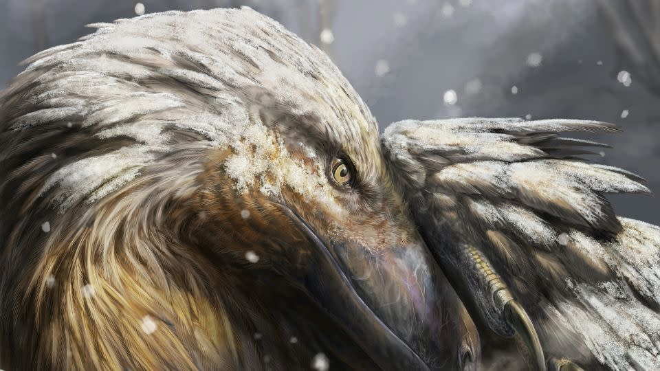 Fossilien haben gezeigt, dass Dinosaurier das ganze Jahr über in kalten Klimazonen wie der Arktis lebten.  - Davide Bonadonna/Universität Vigo/UCL