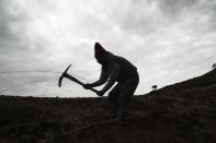 El agricultor Ciriaco Huaman usa un pico para sembrar papas, en Pisac, en el sur rural de Perú, el viernes 30 de octubre de 2020. (AP Foto/Martín Mejía)