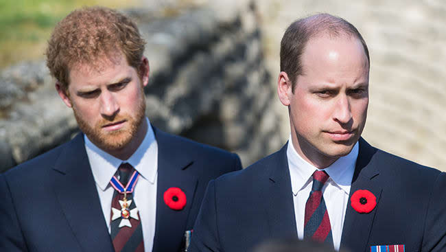 prince-harry-prince-william