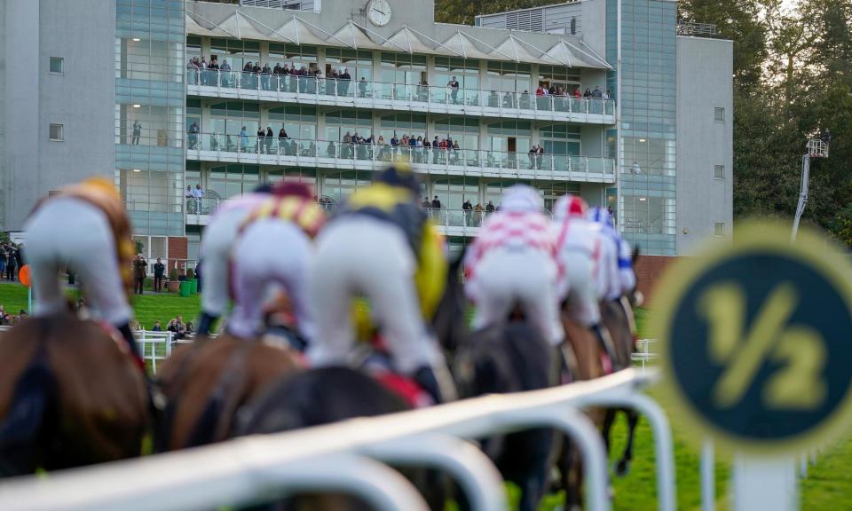<span>The horses approach the finishing line at Sandown in November.</span><span>Photograph: Alan Crowhurst/Getty Images</span>