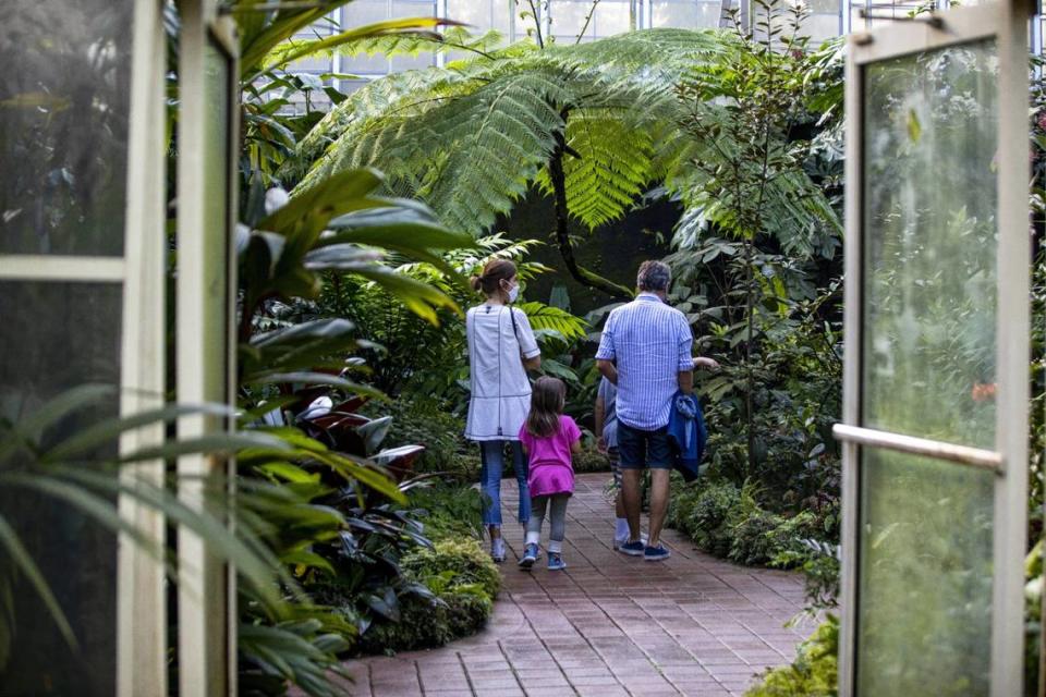 La programación mensual de Fairchild Garden ofrece actividades para niños, adultos y hasta las mascotas.