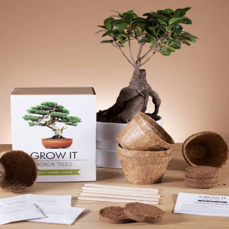 <p><a href="https://go.redirectingat.com?id=74968X1596630&url=https%3A%2F%2Fwww.prezzybox.com%2Fgrow-it-bonsai-tree.aspx&sref=https%3A%2F%2Fwww.esquire.com%2Flifestyle%2Fg41381264%2Fdirty-santa-gift-ideas%2F" rel="nofollow noopener" target="_blank" data-ylk="slk:Shop Now;elm:context_link;itc:0;sec:content-canvas" class="link ">Shop Now</a></p><p>Grow It Bonsai Tree Kit</p><p>prezzybox.com</p><p>£13.00</p>