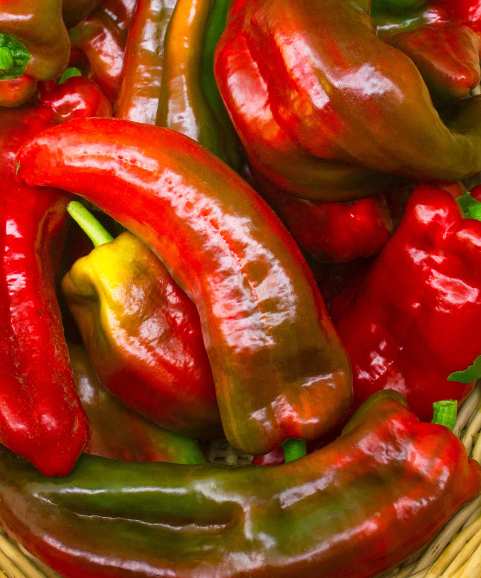 Marconi peppers harvested in basket