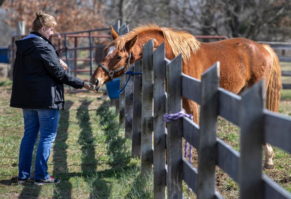 Blackacre State Nature Preserve and Historic Home volunteer Wendy Scott feeds carrots to Esi, a horse on the estate. March 10, 2022