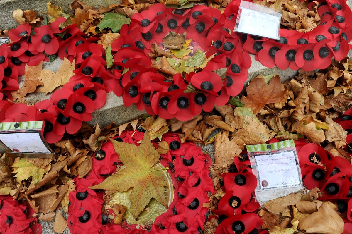 Poppy wreaths on display (Anthony Devlin/PA)