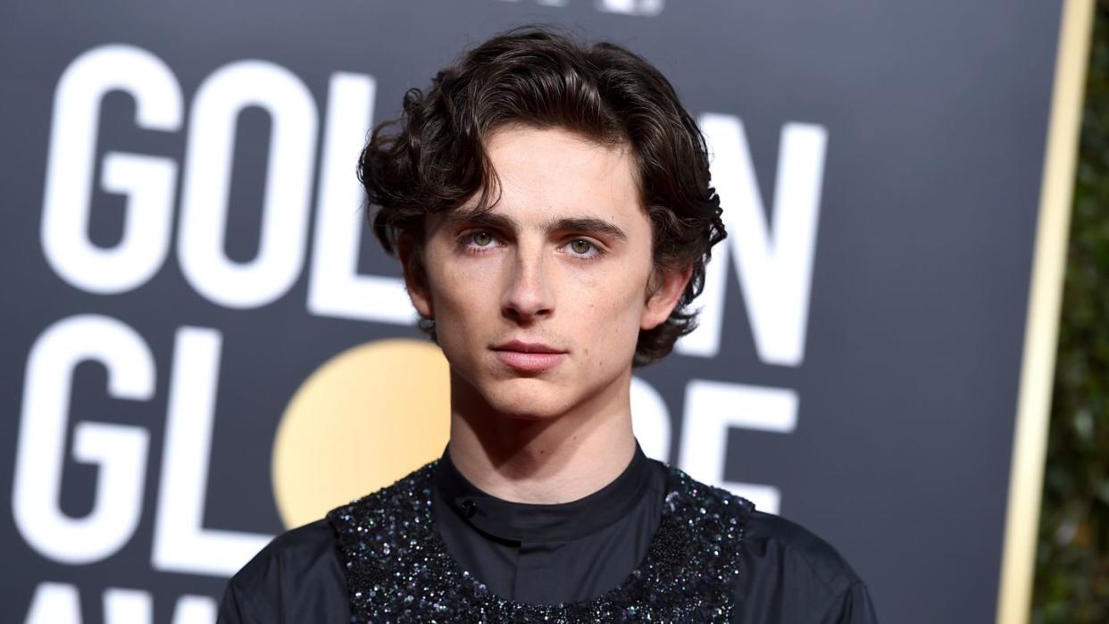 Timothée Chalamet fungiert als Mit-Ausrichter der Met-Gala.