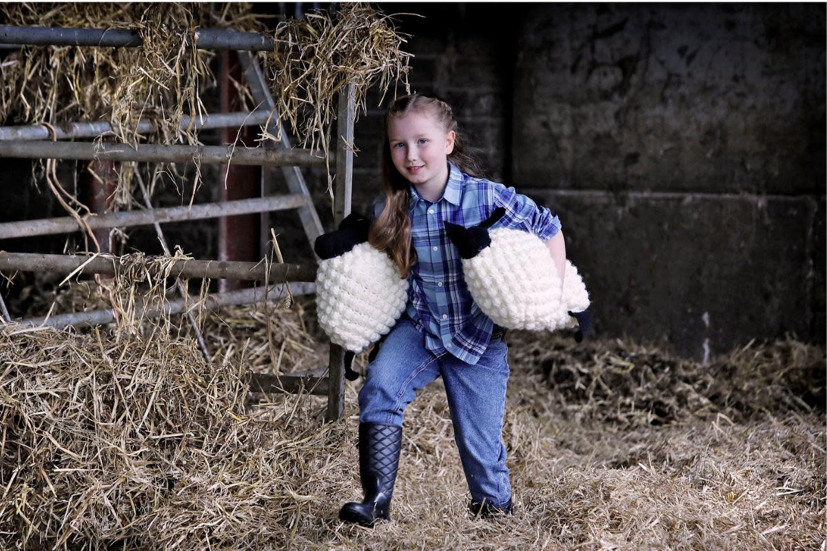 Beth Strange (7) from Mossneuk Primary brings two crocheted sheep to the National Museum of Rural Life ahead of the East Kilbride attraction’s Woolly Weekend event on May 18 and 19 <i>(Image: Paul Dodds)</i>