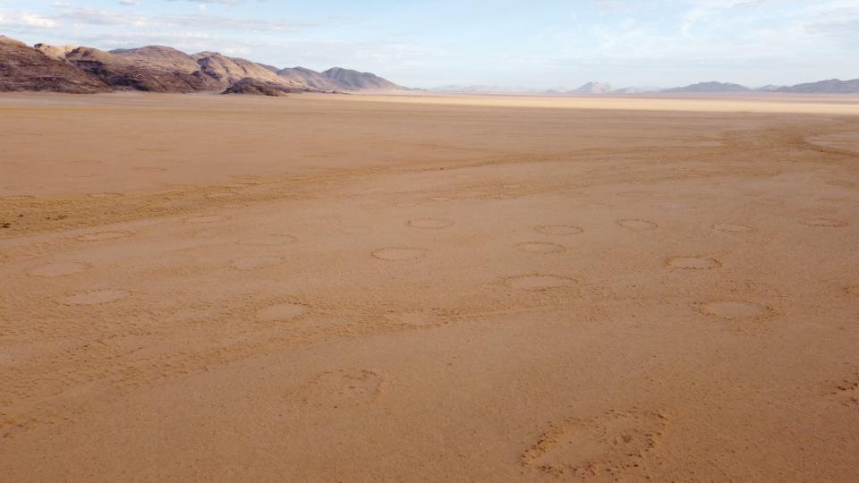 <em>Fairy circles on a Namibian plain. CREDIT: Audi Ekandjo.</em>