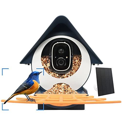 10) Birdkiss Smart Bird Feeder Camera