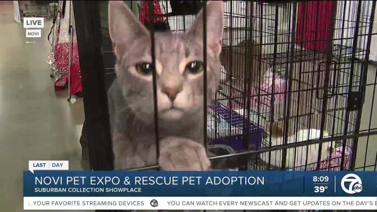 Novi Pet Expo & Rescue Adoption