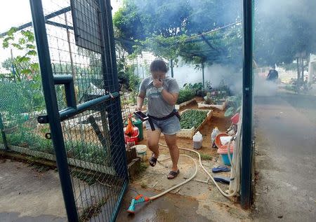 A resident leaves a community garden as a worker fogs the area at a new Zika cluster area in Singapore September 1, 2016. REUTERS/Edgar Su TPX IMAGES OF THE DAY