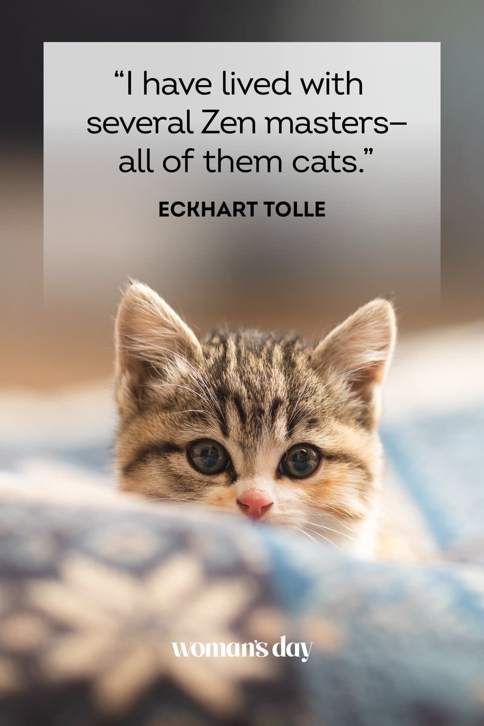 45 Adorable Cat Quotes That Will Melt Your Heart