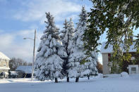 Snow covers the ground in Buffalo, N.Y. on Saturday, Nov. 19, 2022. Residents of northern New York state are digging out from a dangerous lake-effect snowstorm that had dropped nearly 6 feet of snow in some areas and caused three deaths. The Buffalo metro area was hit hard, with some areas south of the city receiving more than 5 feet by early Saturday. (AP Photo/Carolyn Thompson)