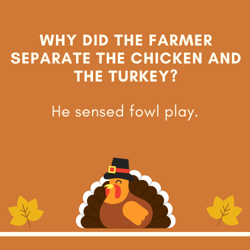 Thanksgiving Jokes