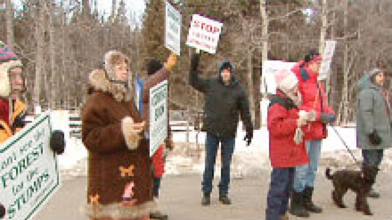 Alberta NDP facing pressure to halt Spray Lakes Sawmills logging project