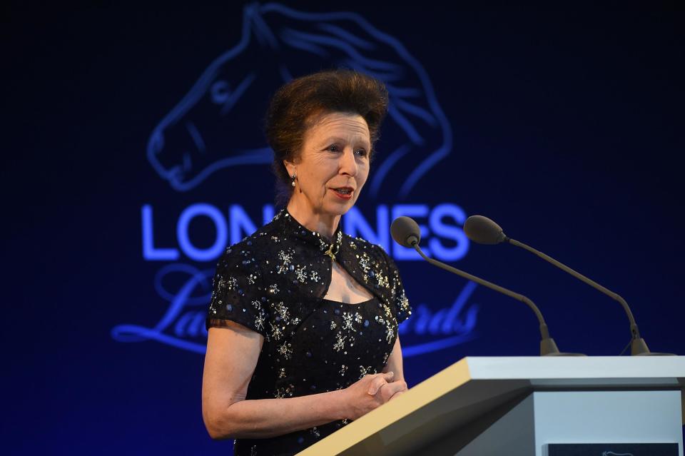 Princess Anne in 2016 (Getty Images)