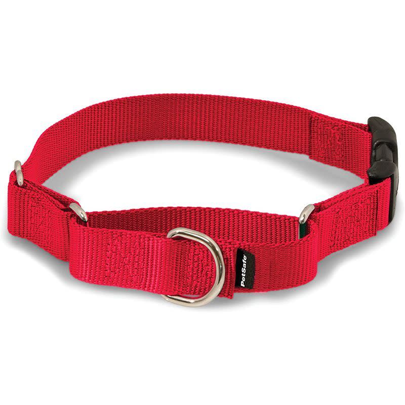 Martingale Collar