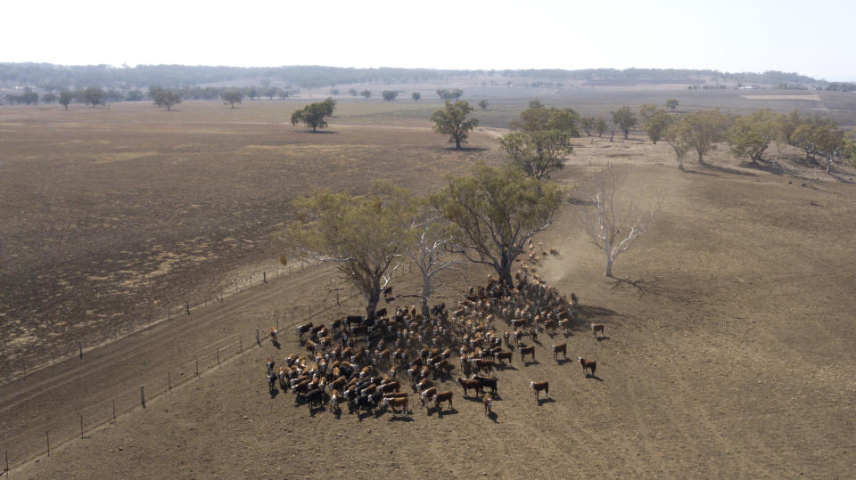 A drought-stricken farm at Inverell in northern NSW. Source: AAP