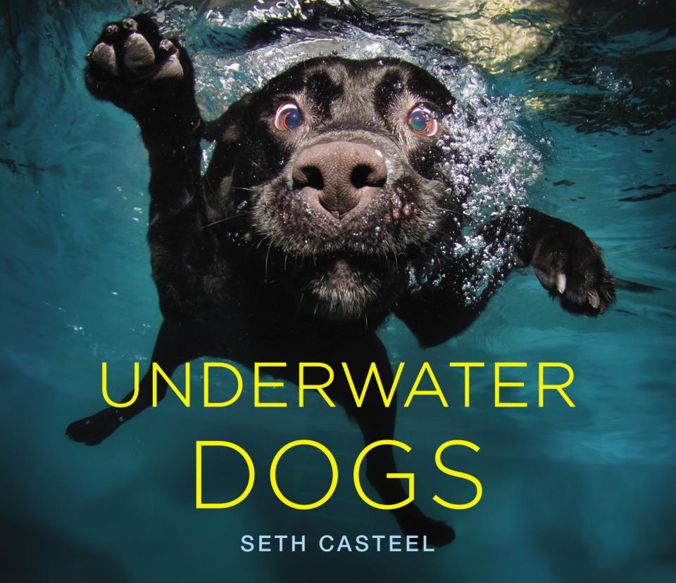 A collection of 80 of Seth Casteel’s underwater dog portraits have been turned into a new picture book, “Underwater Dogs.” The photos show a hilarious and primal side of dogs you haven’t seen before. “I’m interested in photographing dogs in their element,” Casteel said. “I want them to be themselves... It all has to do with emotion and expression.”
