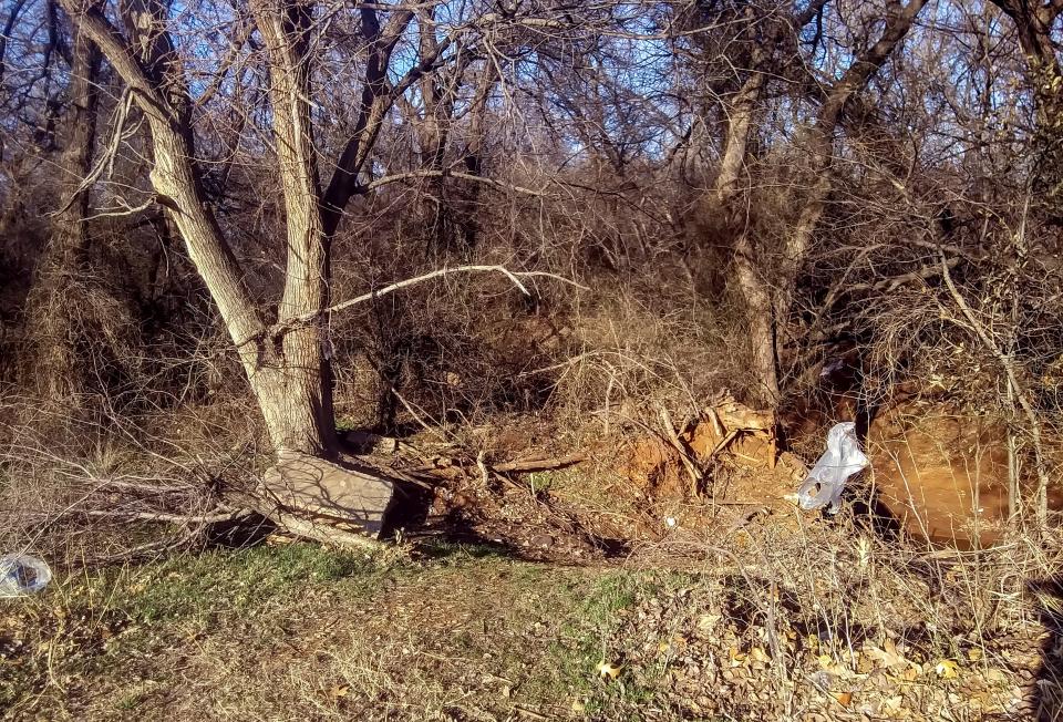 Trash at Shallowbrook Park is a concern for nearby residents.